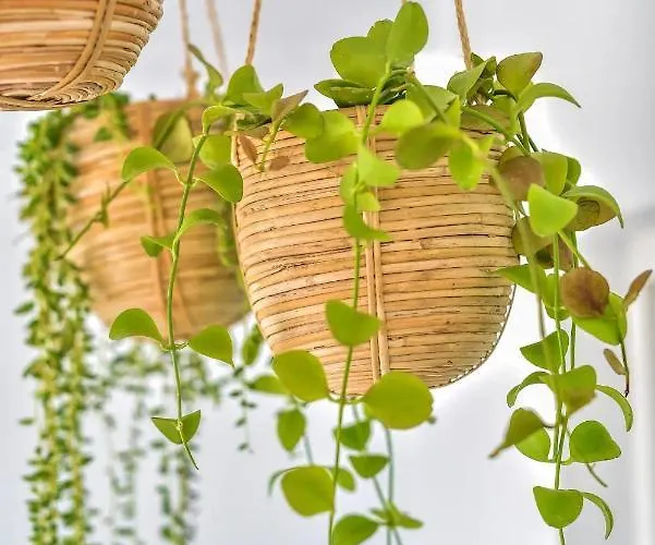 Nieves 아파트 테기세