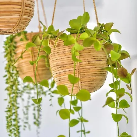 Nieves Апартаменты Тегисе